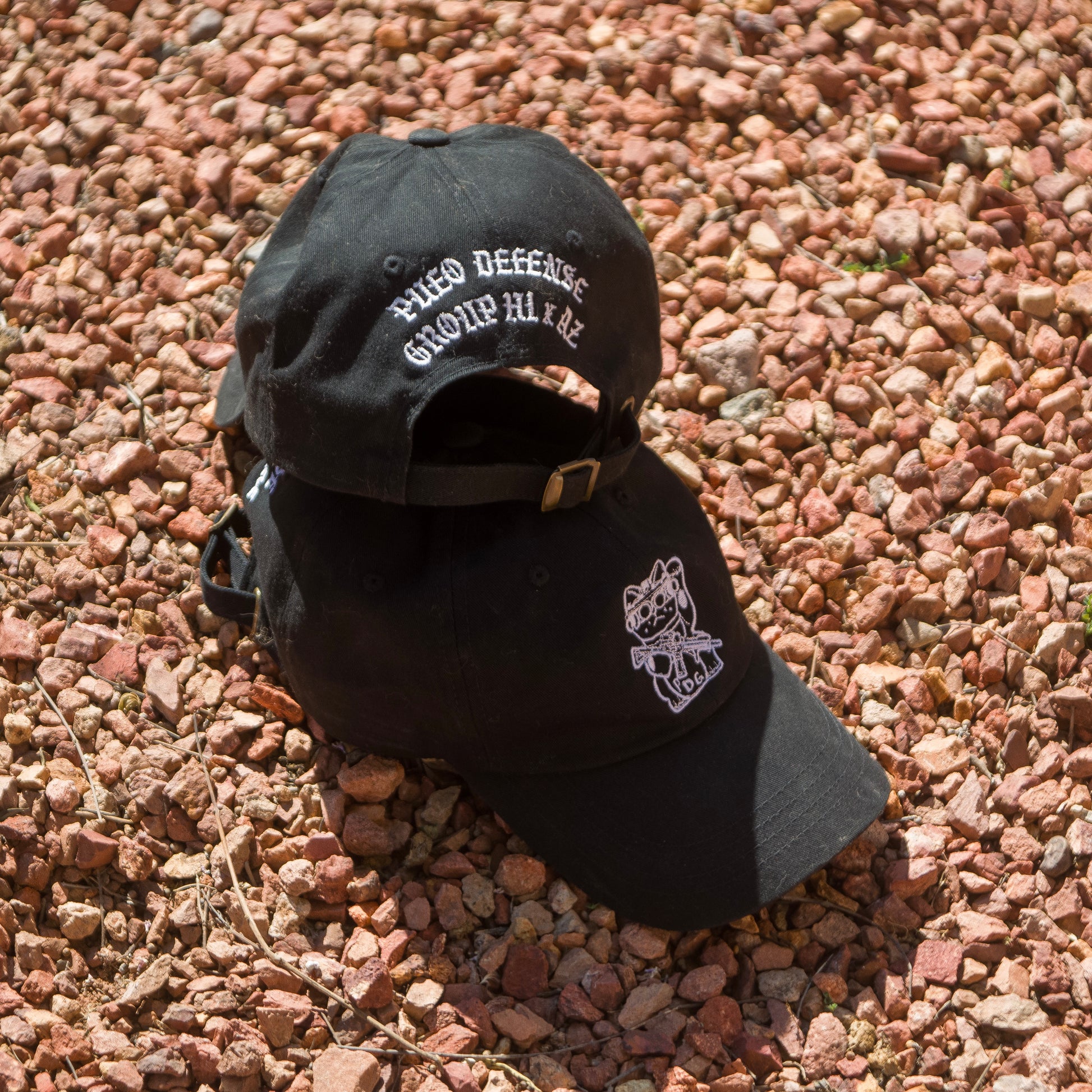 Pueo Defense Group Dad Hat Black