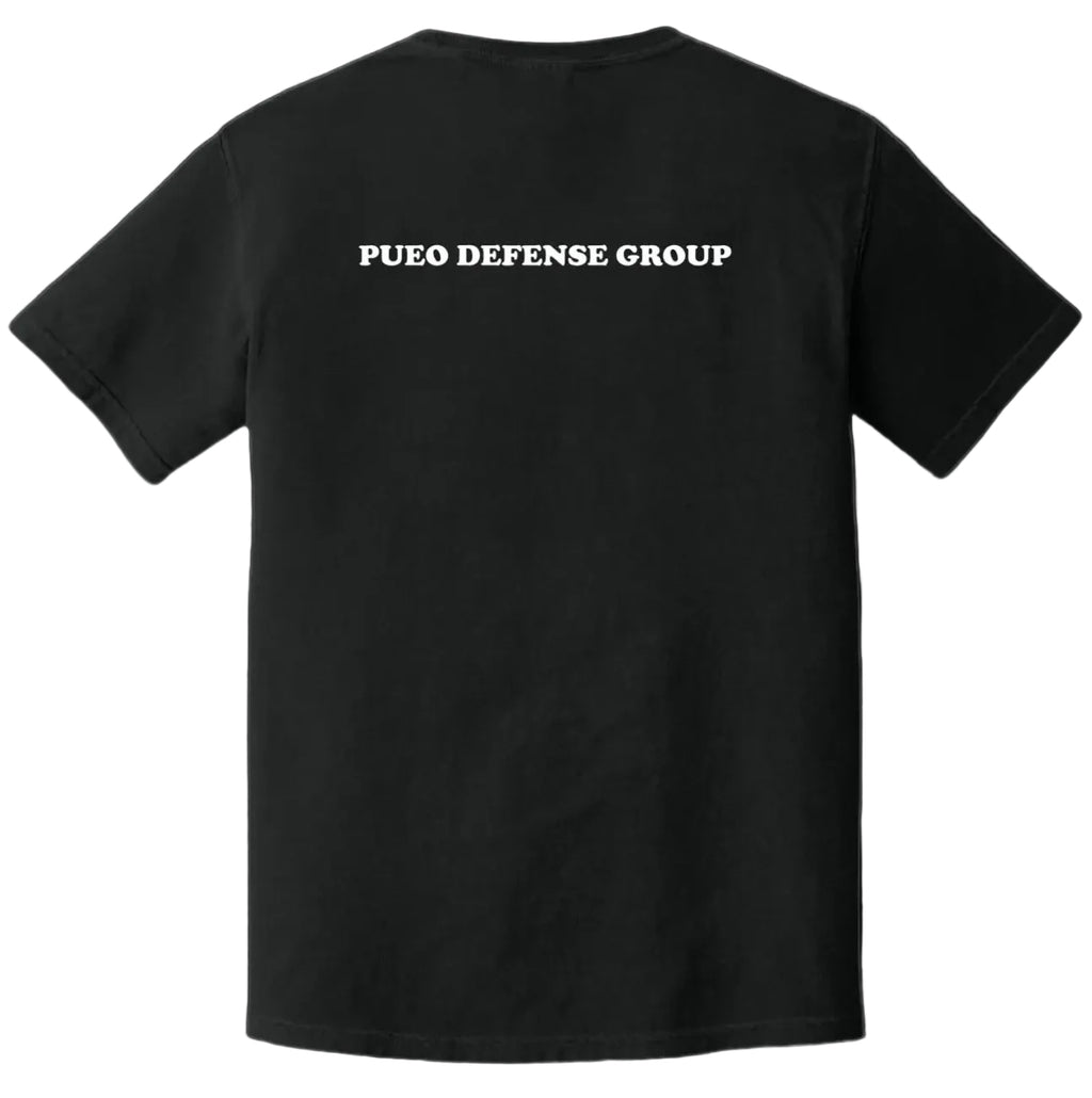 ARMED AND WILL RUN FROM LAW ENFORCEMENT TEE - BLACK