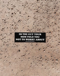 I'm The Guy Your Mom Told You Not To Worry About - Sticker