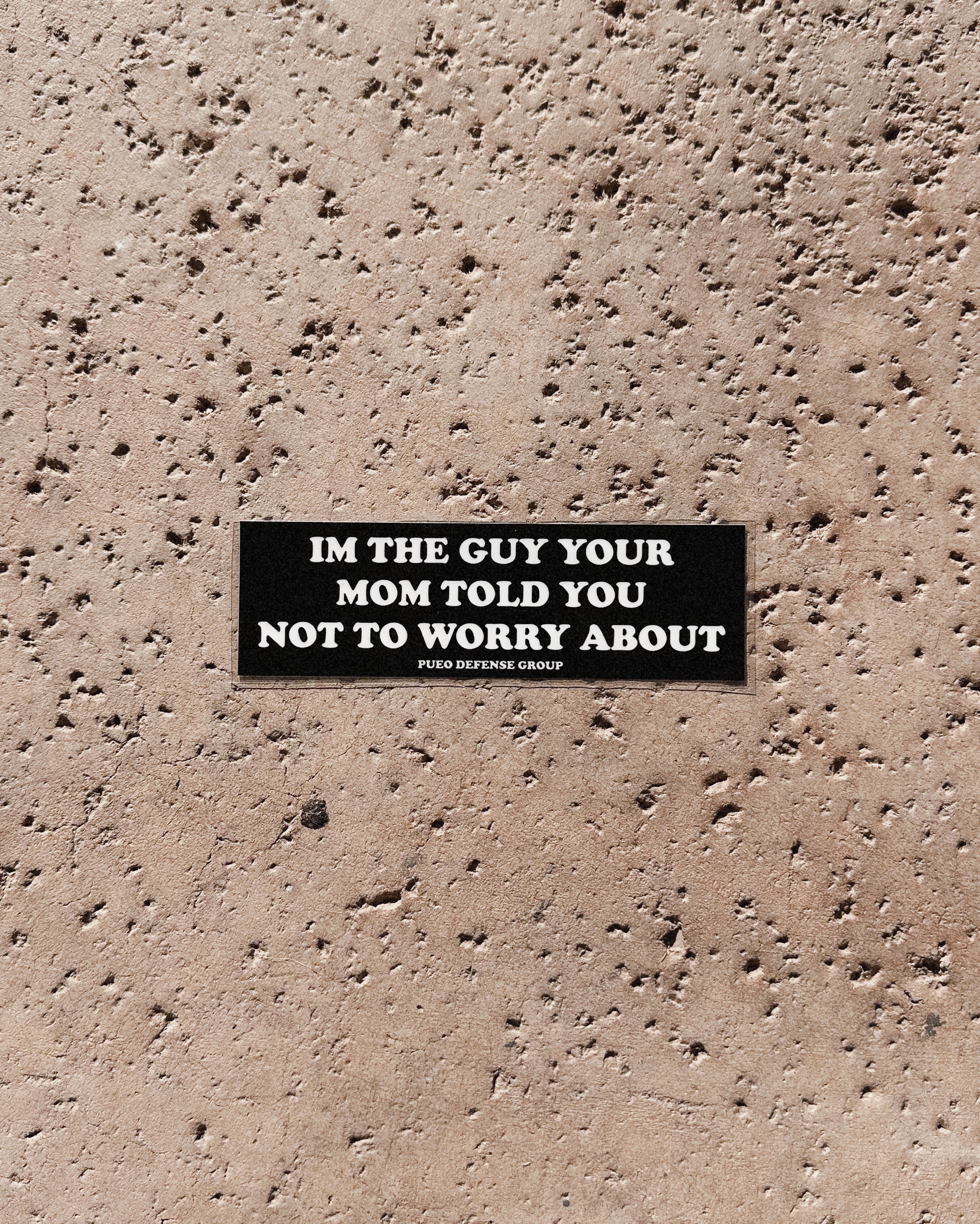 I'm The Guy Your Mom Told You Not To Worry About - Sticker