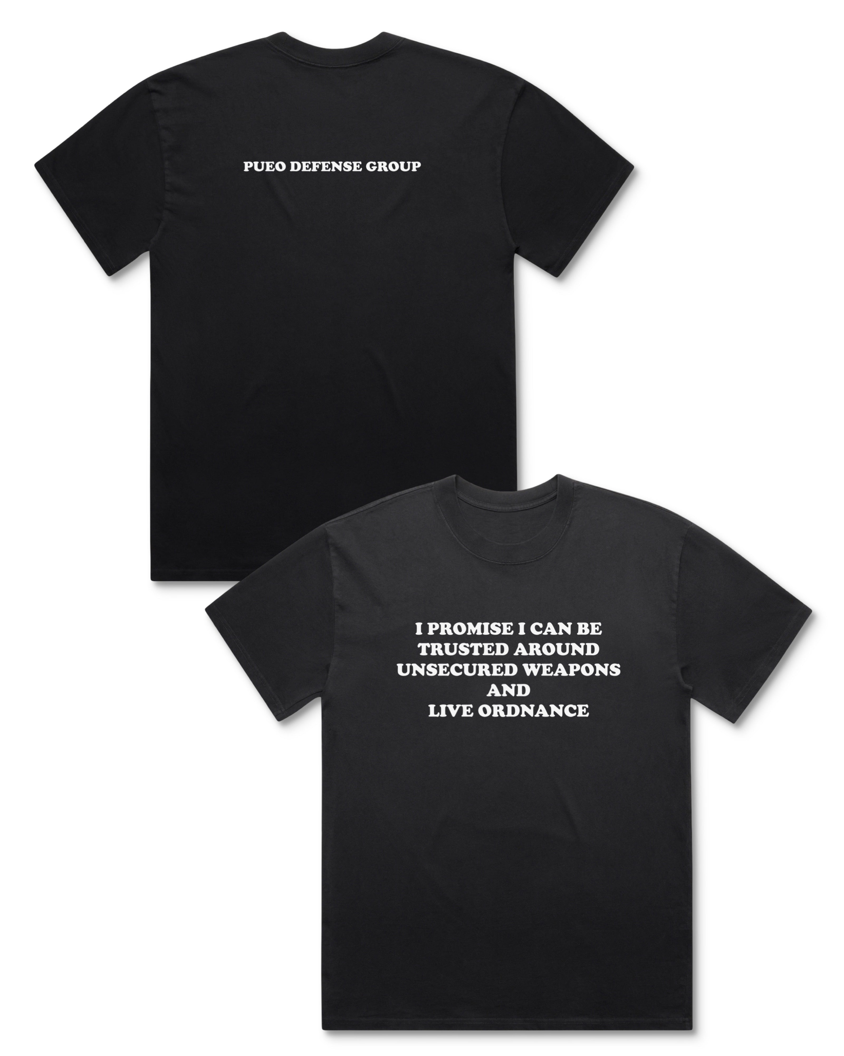 I Promise I Can Be Trusted Around Unsecured Weapons - Tee (Black)