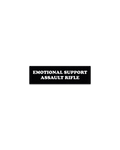 EMOTIONAL SUPPORT ASSAULT RIFLE STICKER