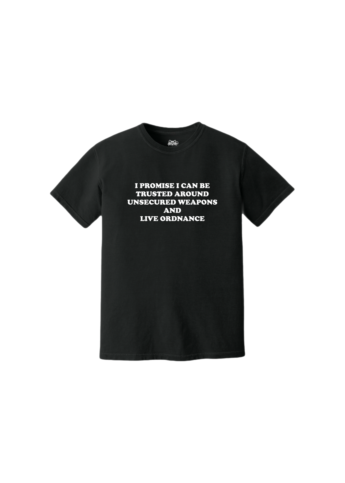 I PROMISE I CAN BE TRUSTED AROUND UNSECURED WEAPONS TEE - BLACK